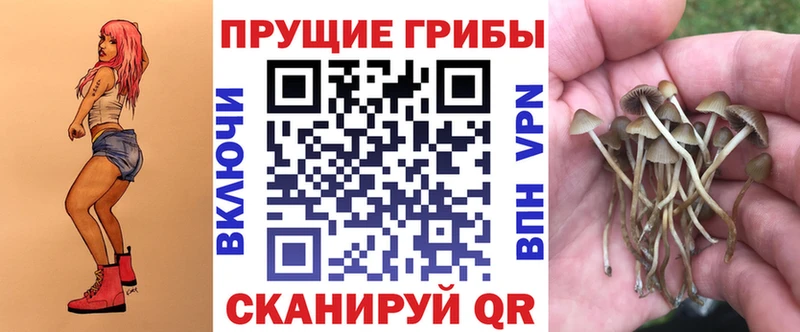 Псилоцибиновые грибы Magic Shrooms  Заволжье 