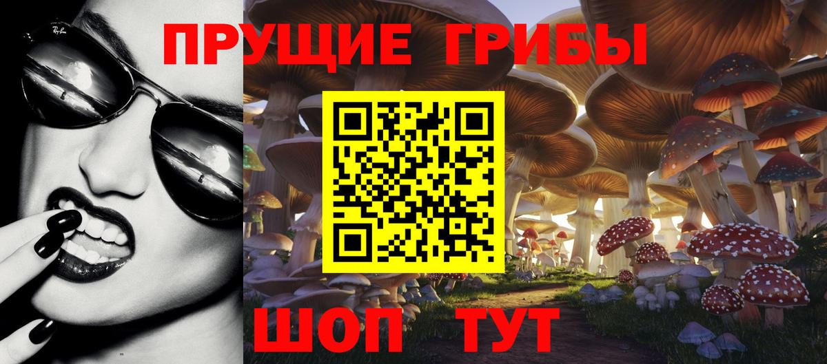 Галлюциногенные грибы Cubensis Заволжье