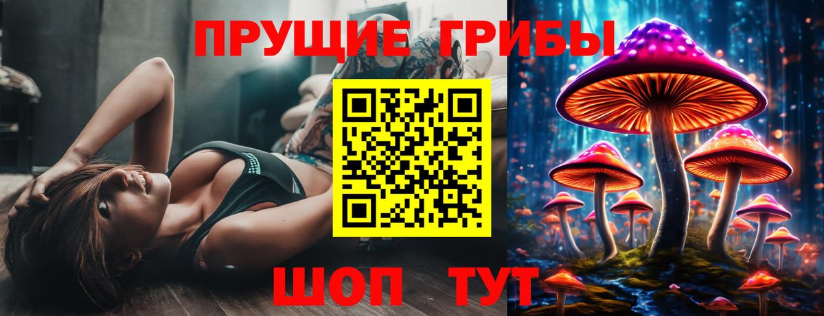 Галлюциногенные грибы GOLDEN TEACHER  продажа наркотиков  Псилоцибиновые грибы прущие грибы  Заволжье 