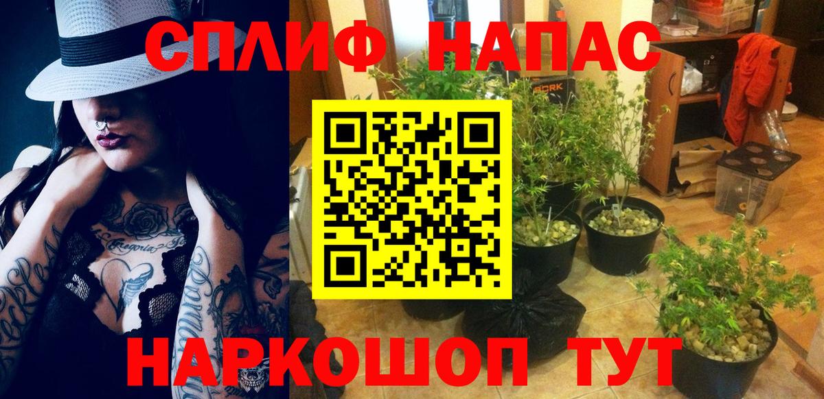 Канабис White Widow  Заволжье  Марихуана планчик  Бошки марихуана MAZAR  Шишки марихуана THC 21% 